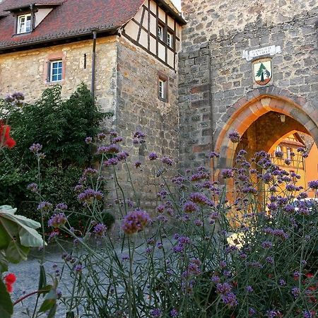 Villa Le Cocon Du Potier Dambach Esterno foto