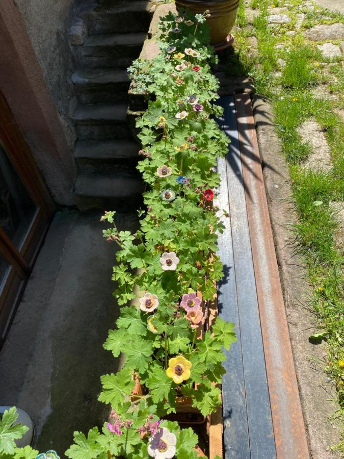 Villa Le Cocon Du Potier Dambach Esterno foto