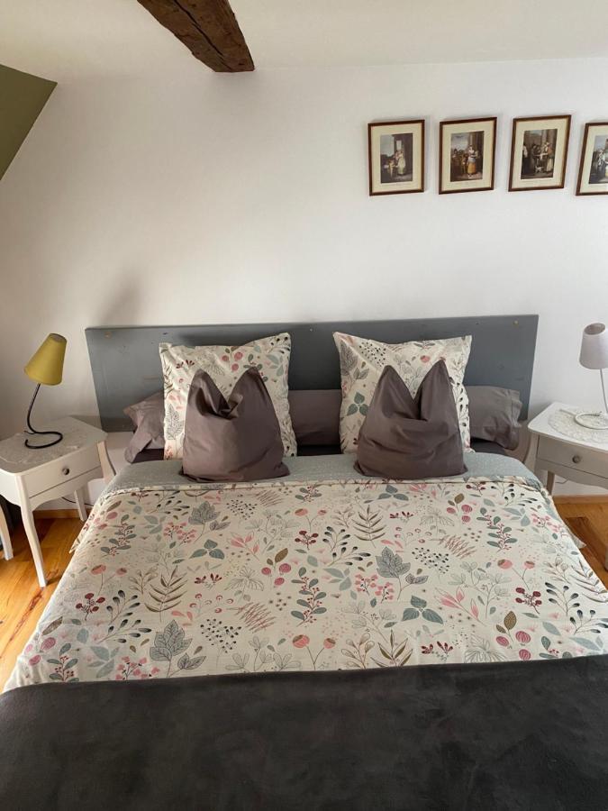 Villa Le Cocon Du Potier Dambach Esterno foto